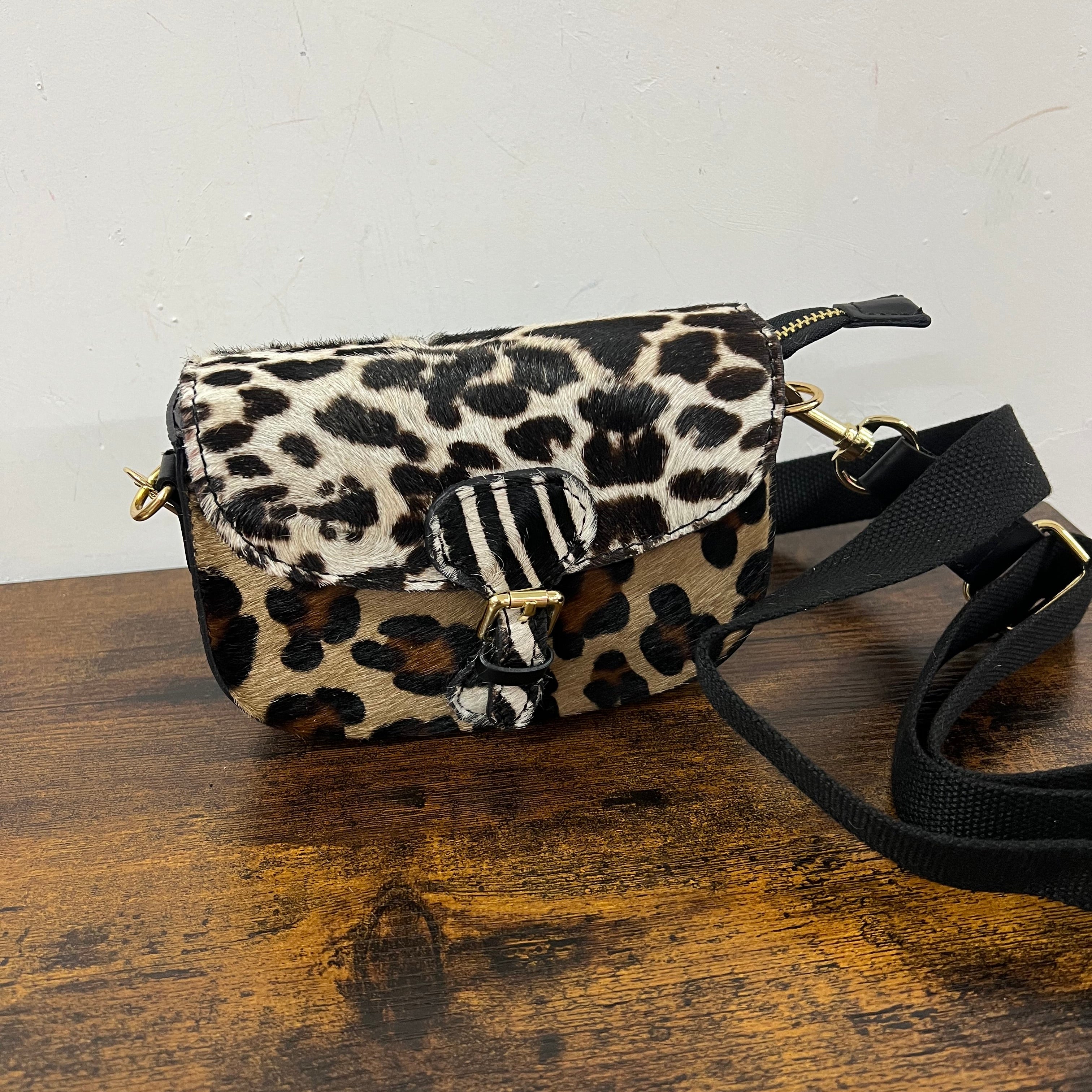 Tolfa mini cavallino