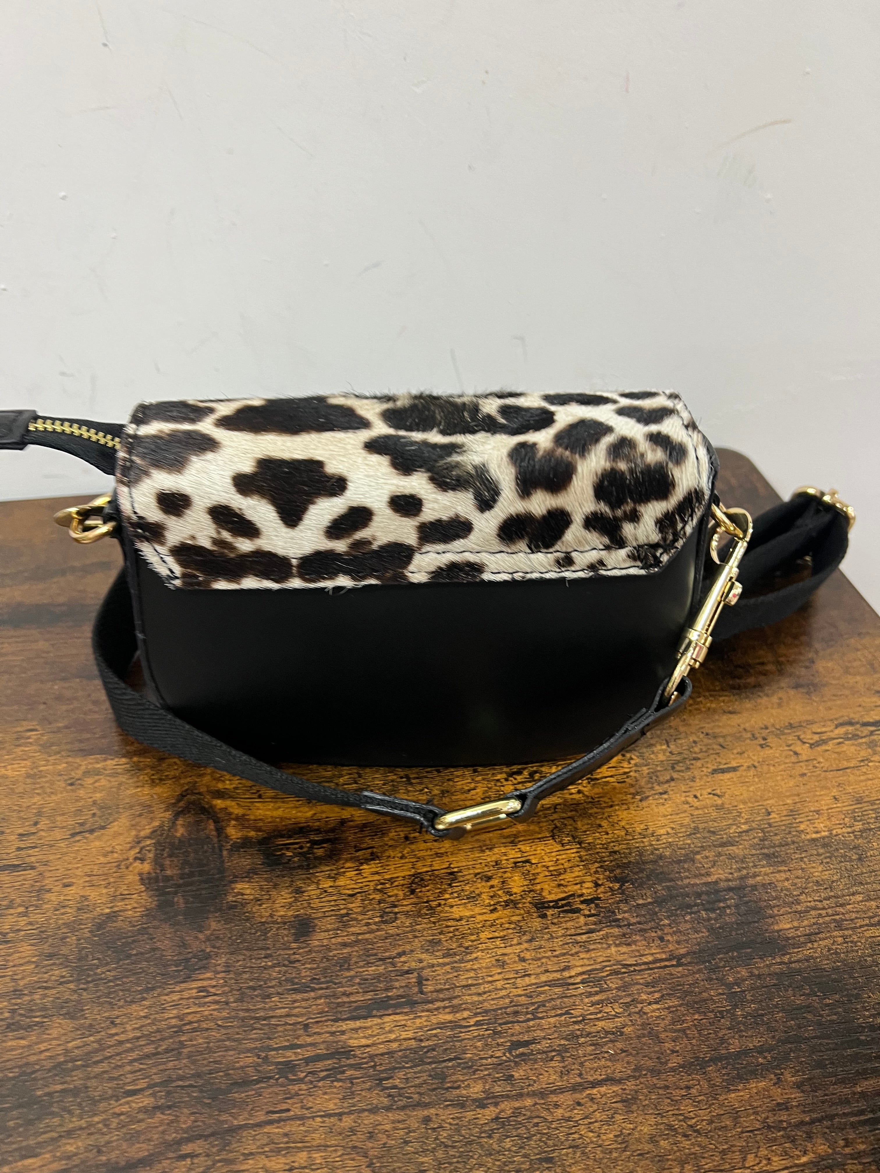 Tolfa mini cavallino