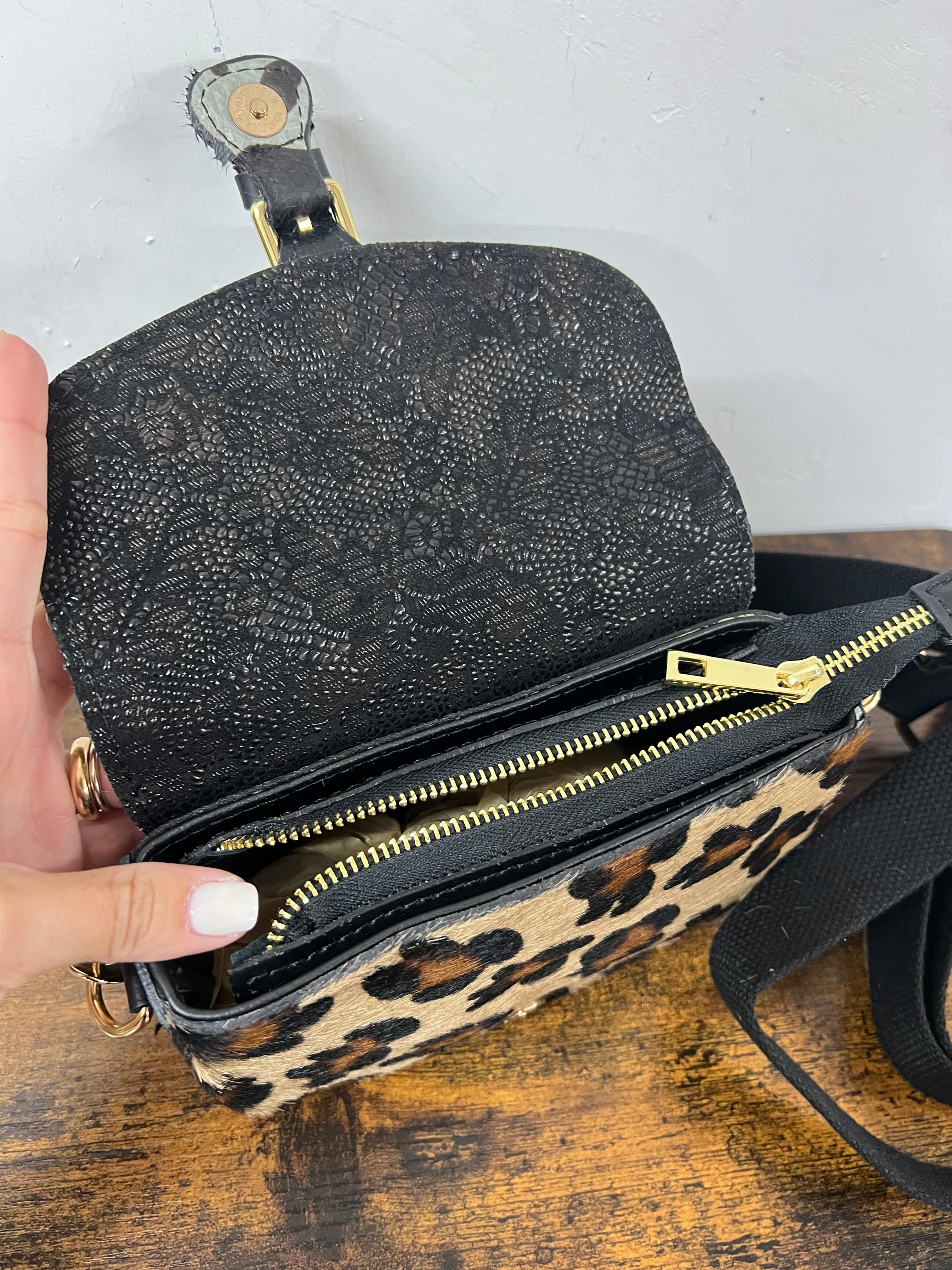 Tolfa mini cavallino